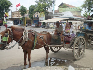 Angkutan Tradisional Andong Khas Kota Lasem