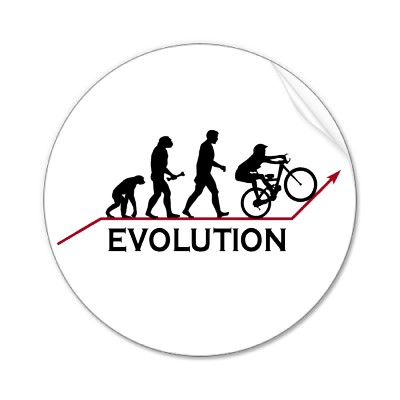 EVOLUÇÃO