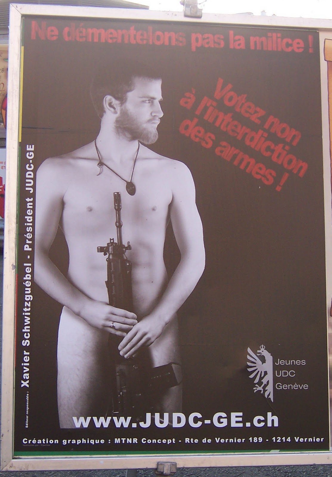 Affiche Udc Armes