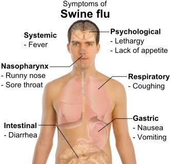The portion which cause the Body by Swine Flu (Symptoms)
