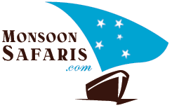 Monsoon Safaris