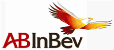 INBEV COMPLETES ACQUISITION OF ANHEUSER-BUSCH