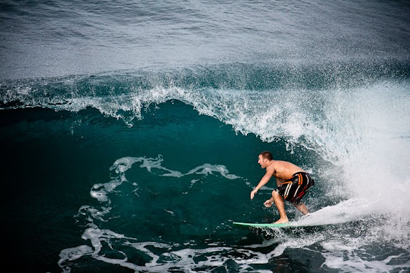 Shredding the Gnar shredding gnar. Shredding the Gnar