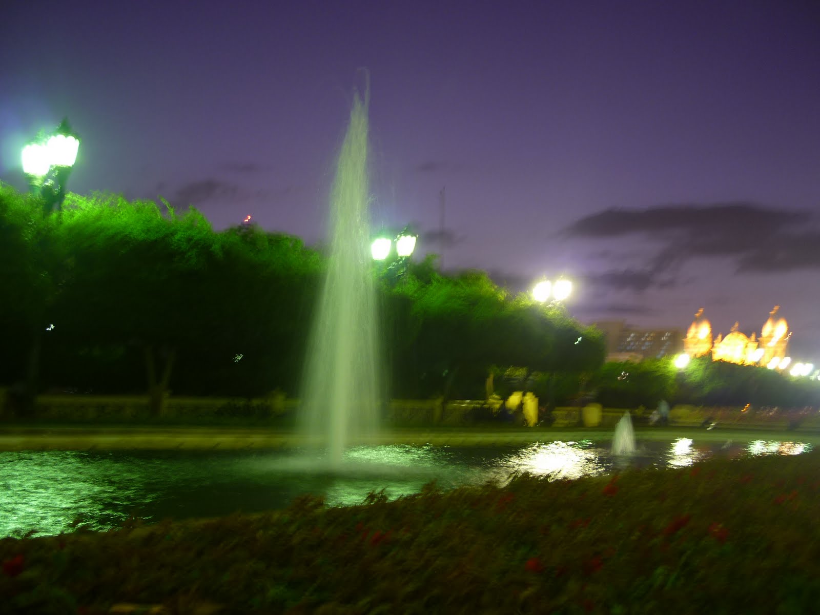 [P1020848.JPG]