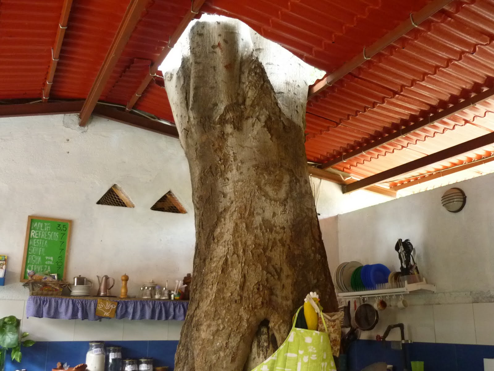 [P1020937.JPG]