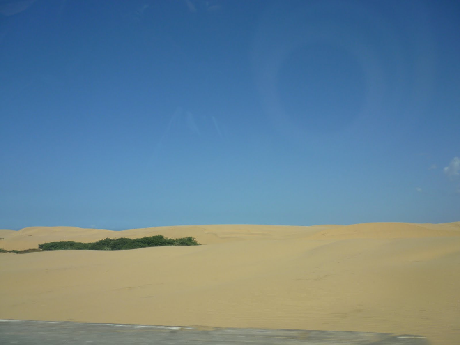 [P1020946.JPG]