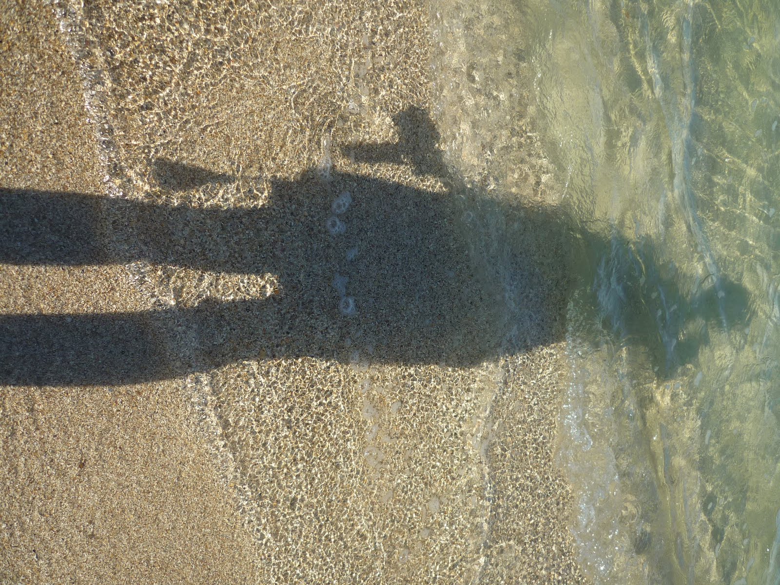 [P1020971.JPG]