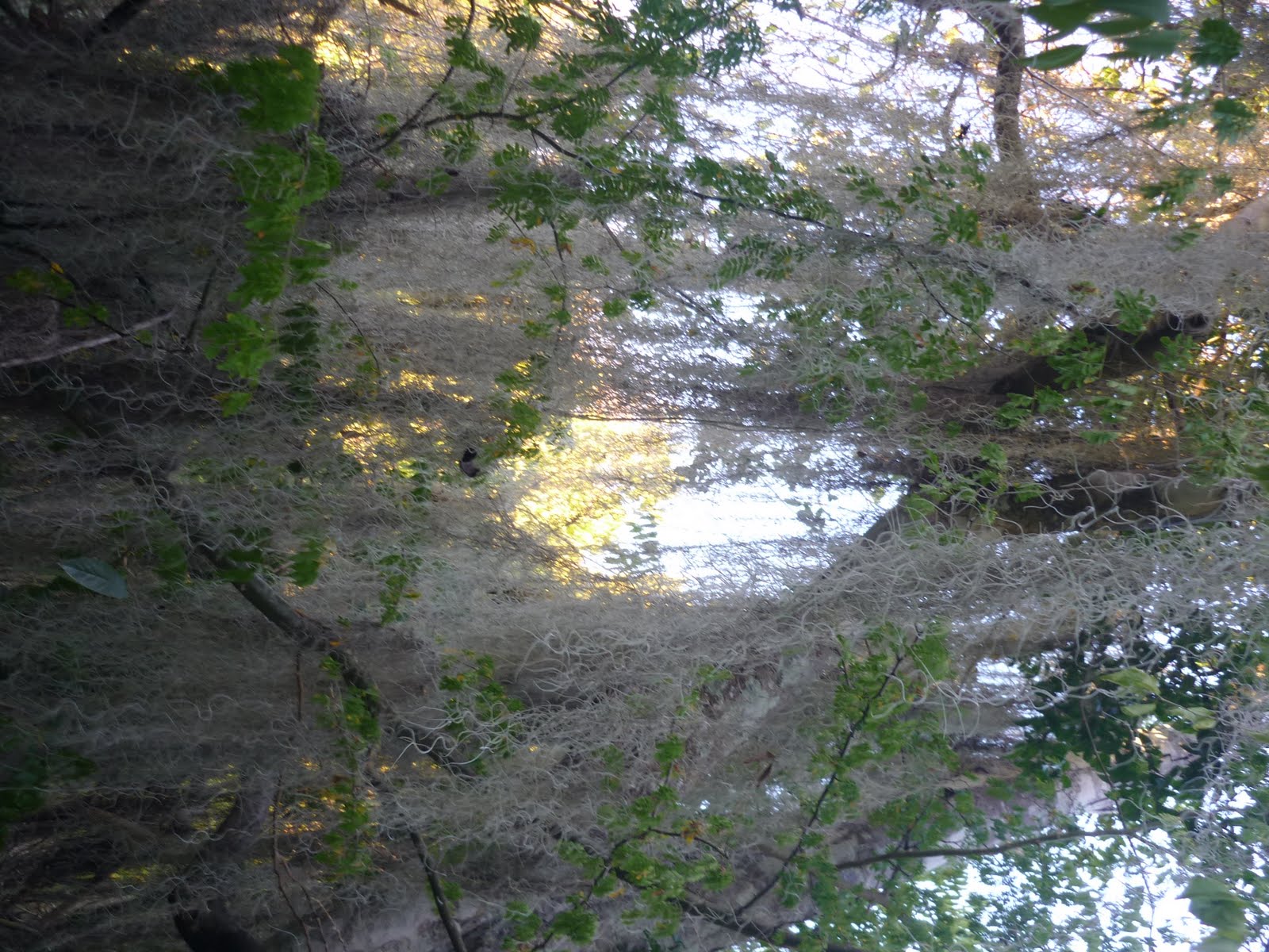 [P1030008.JPG]