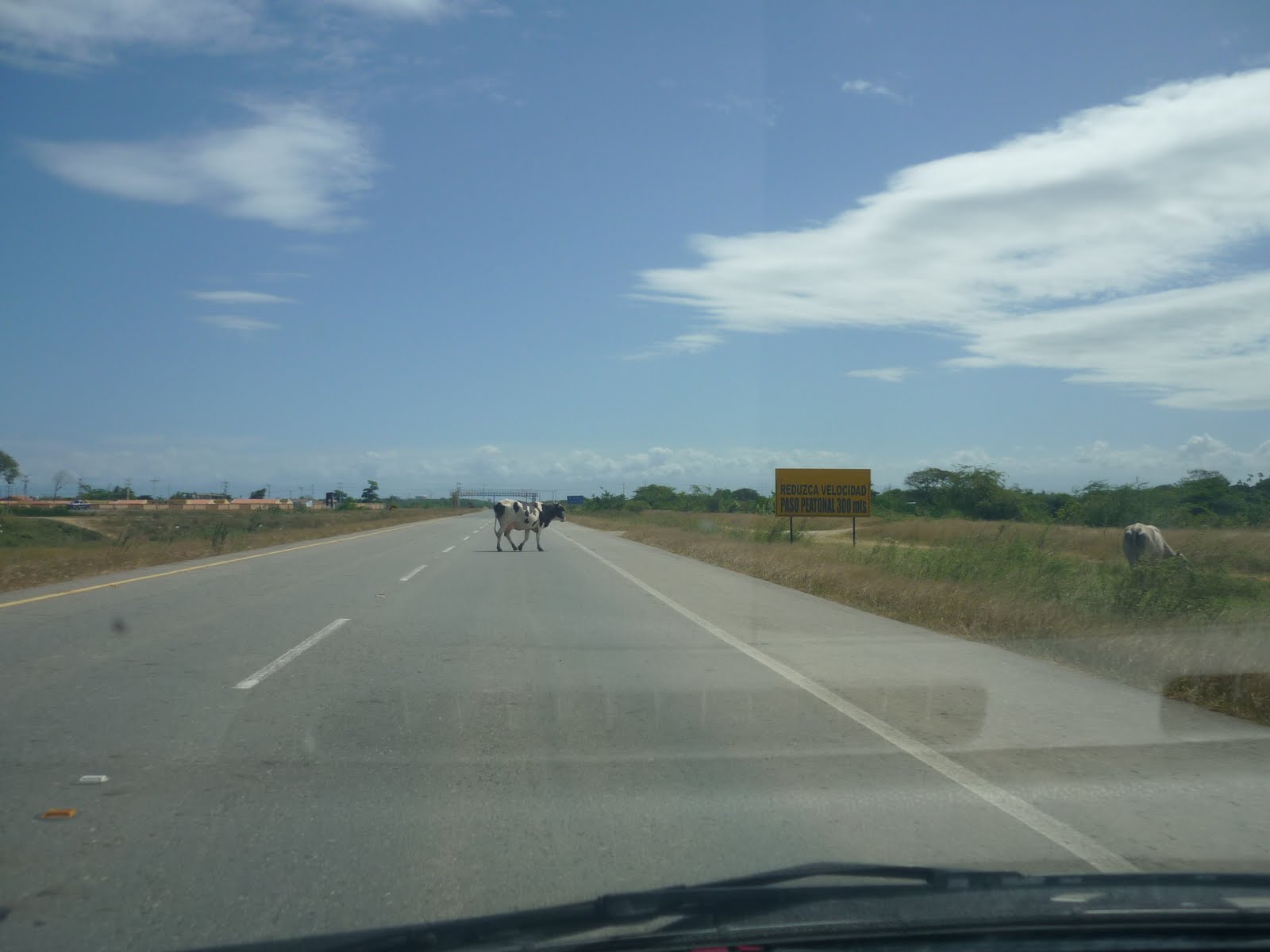 [P1030036.JPG]