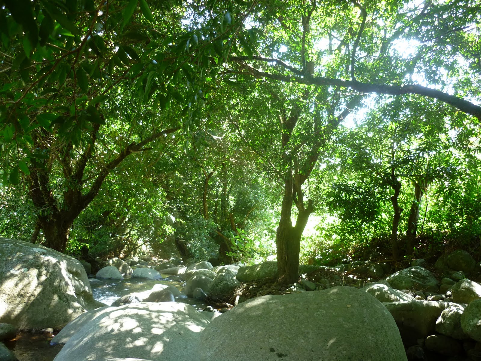 [P1010865.JPG]