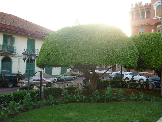 [P1020087.JPG]