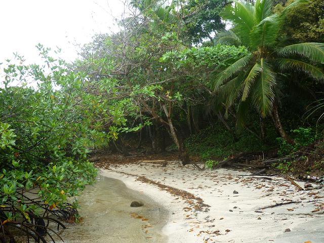 [P1020411.JPG]