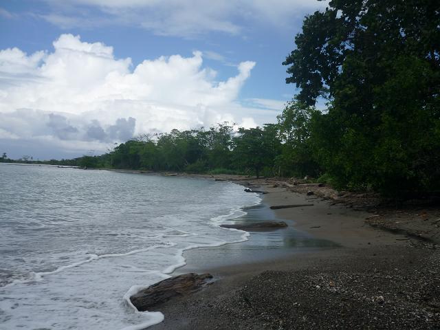 [P1020465.JPG]