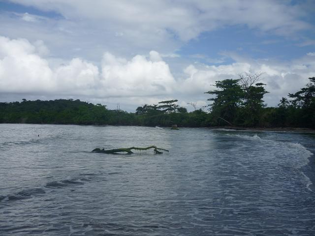 [P1020466.JPG]
