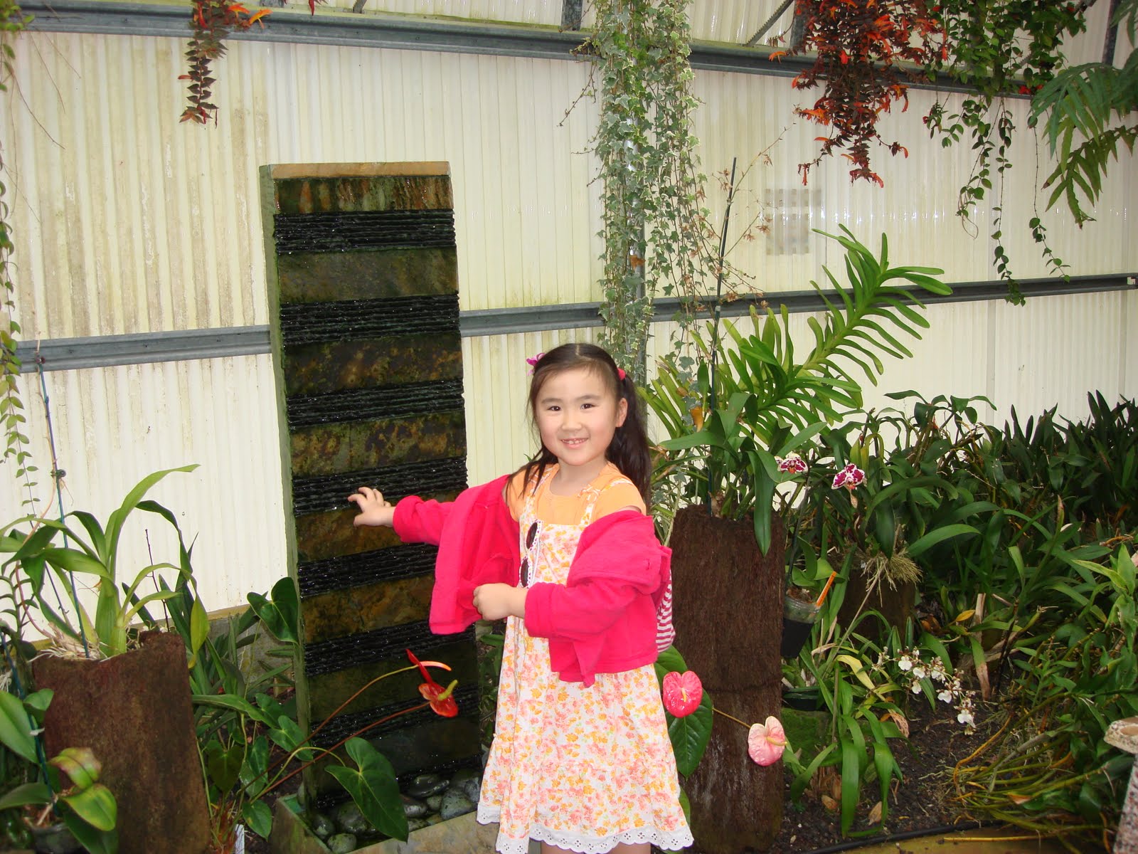 [DSC03054.JPG]