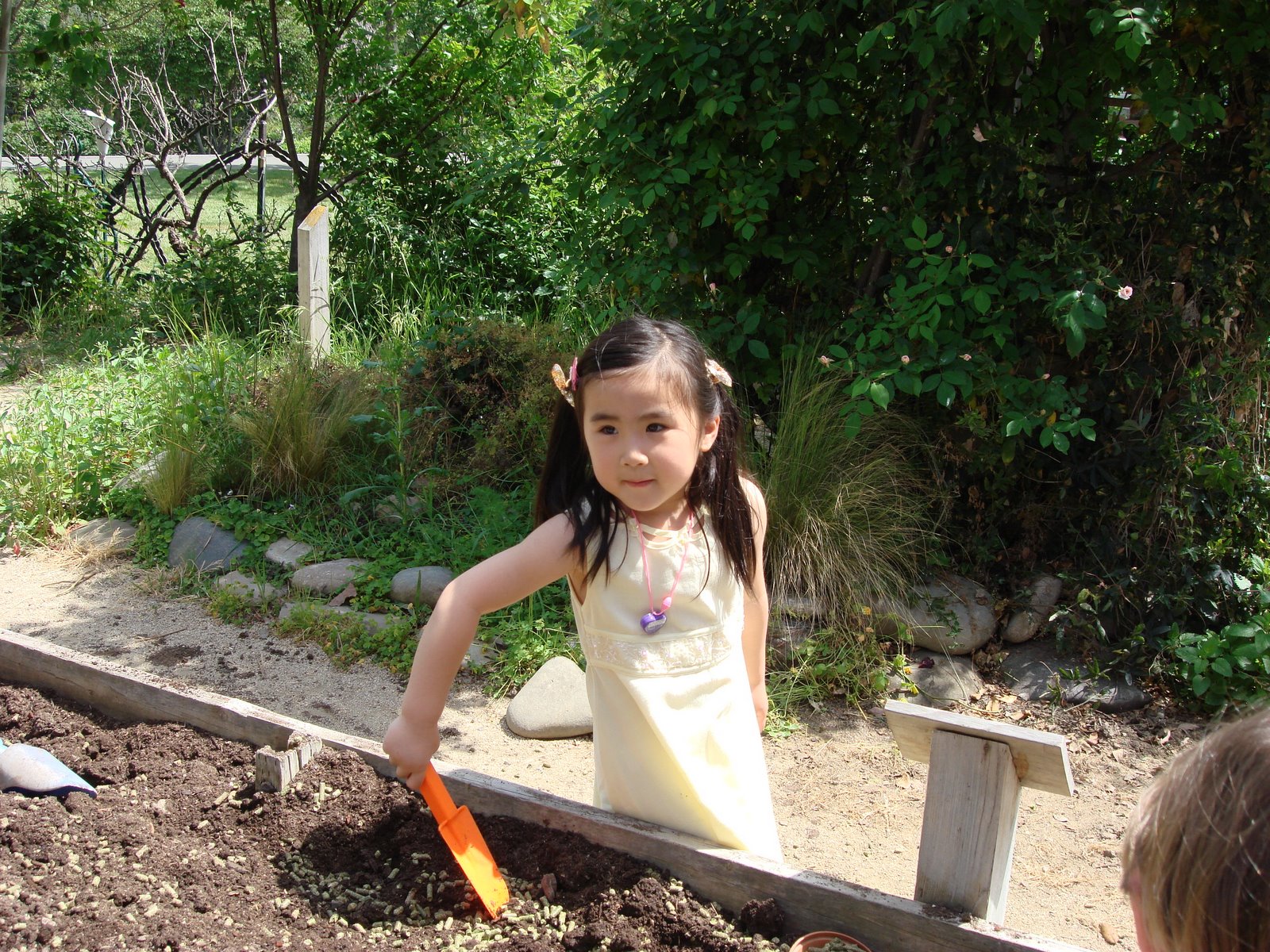 [DSC00954.JPG]