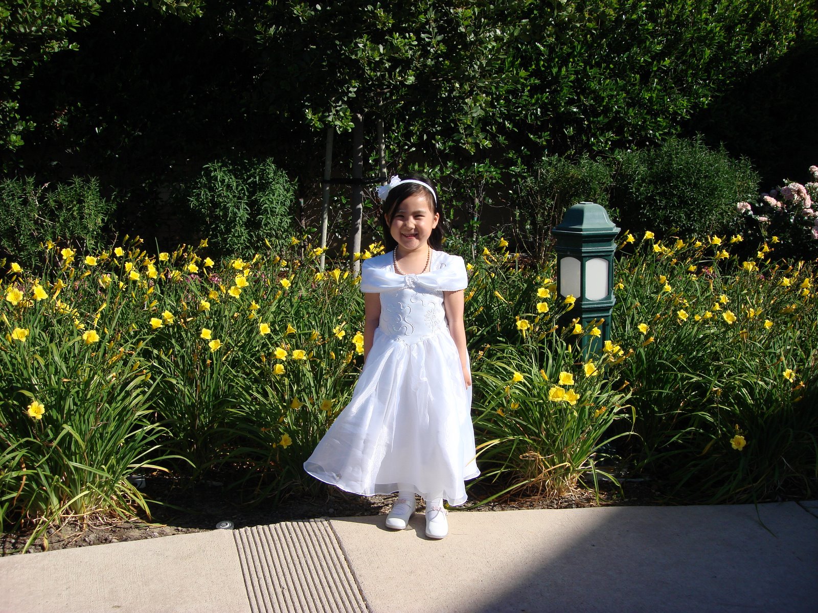 [DSC00972.JPG]