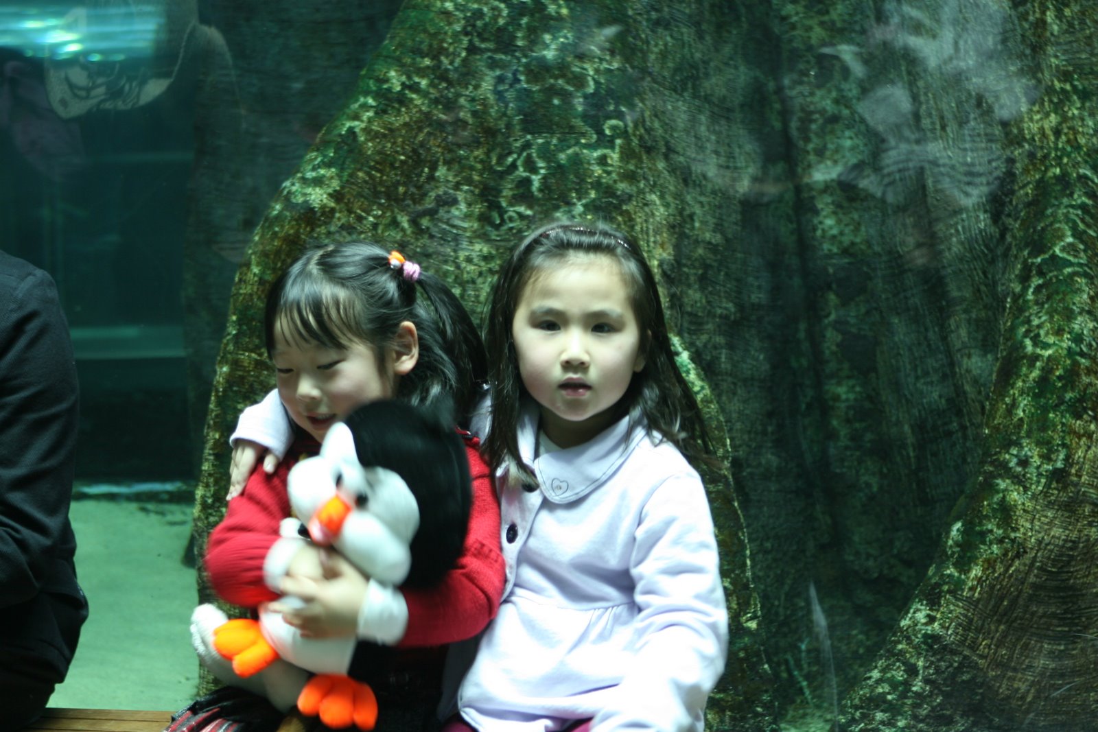 [IMG_8507.jpg]