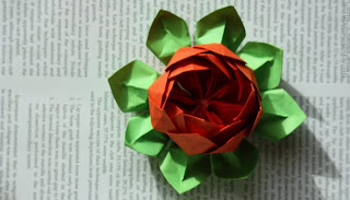 Lotus Flower