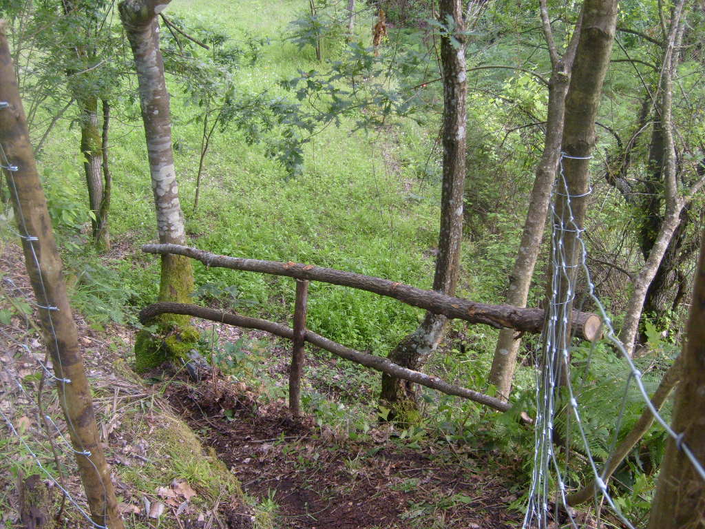 [S6300514.JPG]