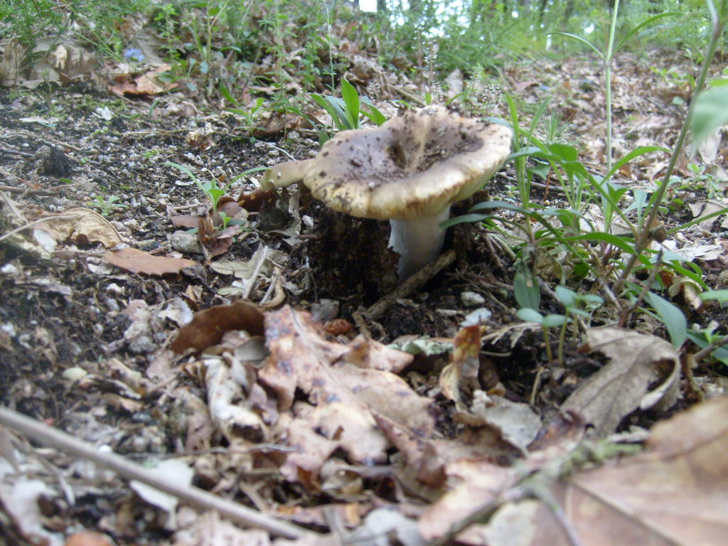[S6300496.JPG]