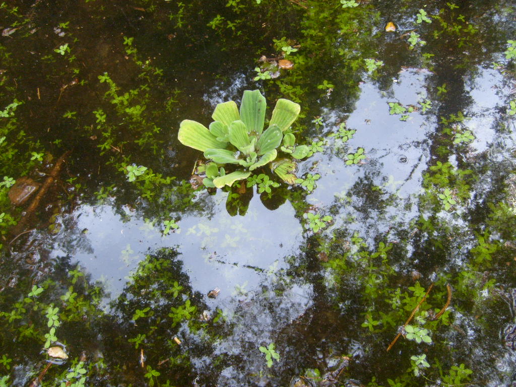 [S6300491.JPG]