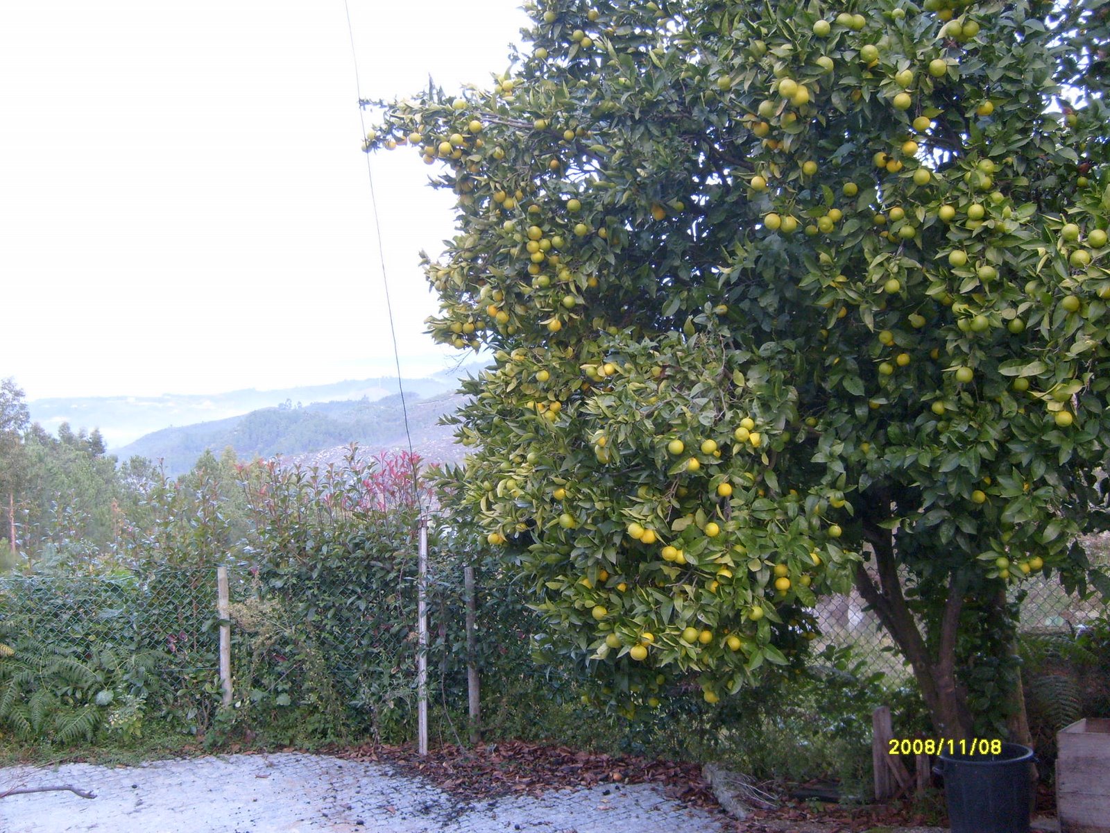 [S6301694.JPG]