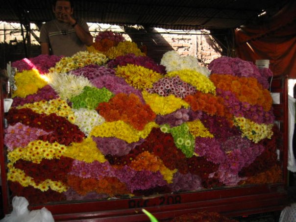 mercado de flores