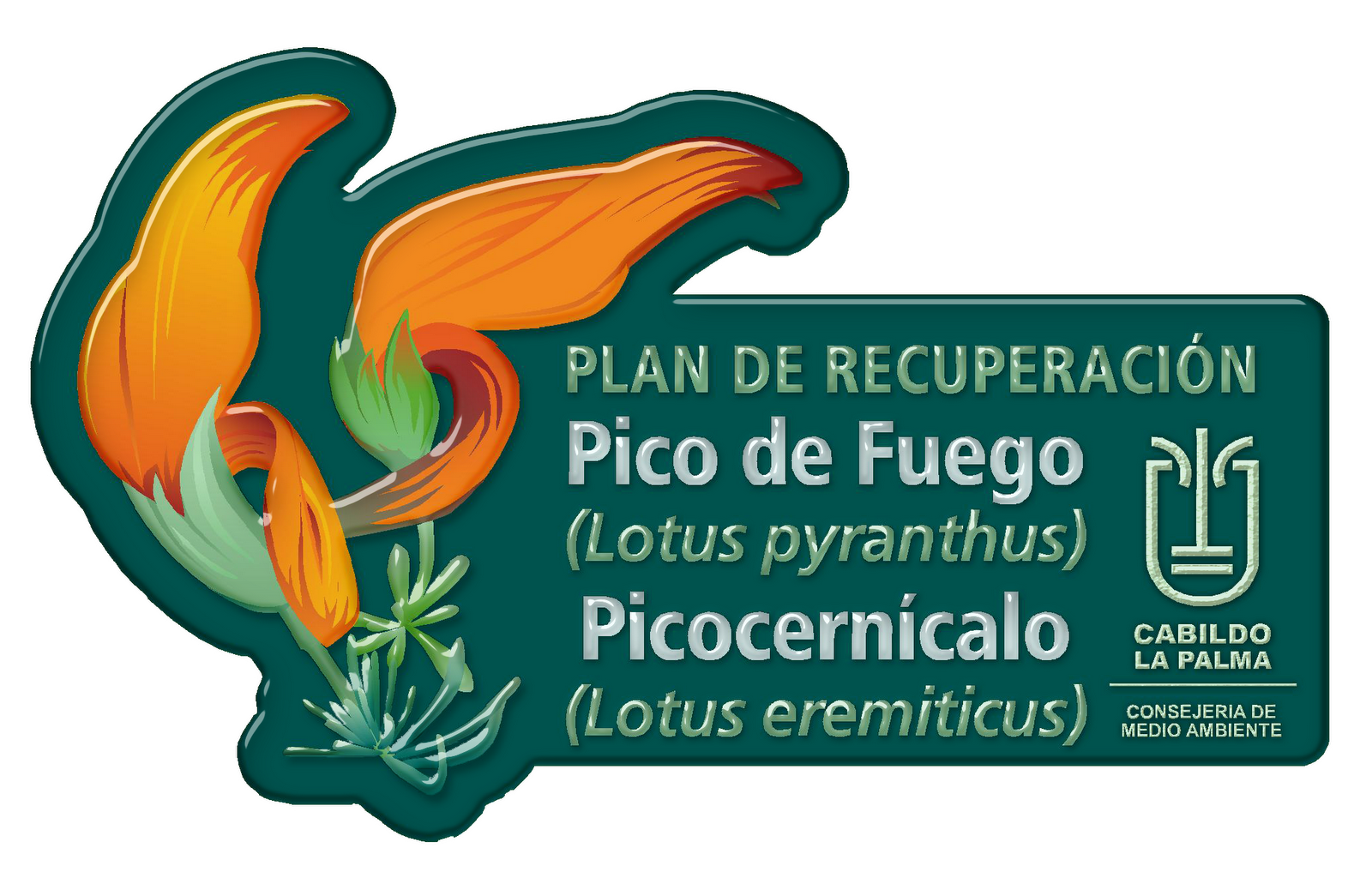 Conservación Lotus La Palma