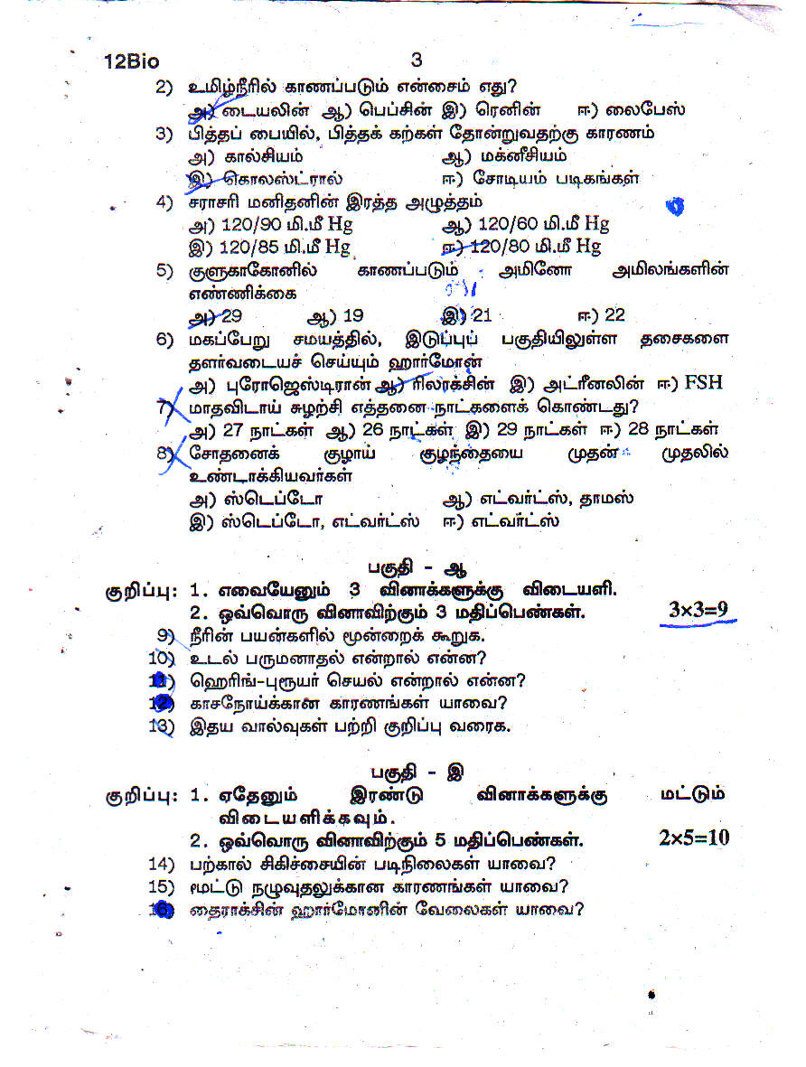 Mid term papers