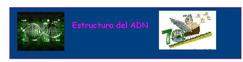 estructura del adn