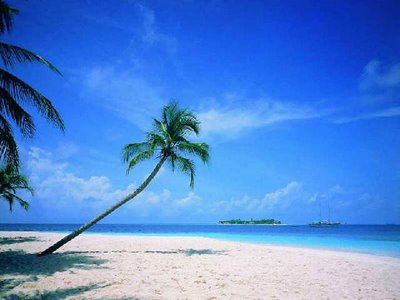 [Kerala-Beach.jpg]