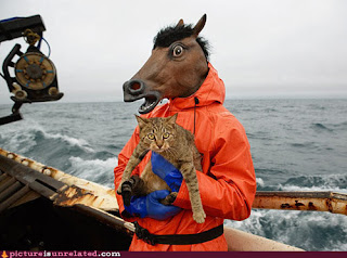 Funny Photo of the Day TalentNetwork