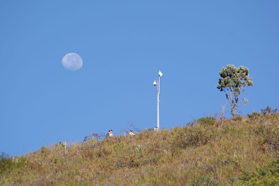 Lions Head security camera