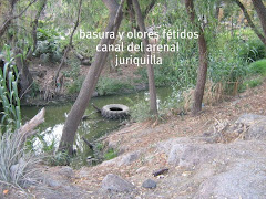 CANAL DEL ARENAL