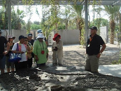 Guiding at Bet Shean