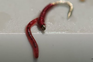 Bloody Worm