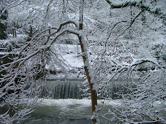 The weir from Grove Wood 2009