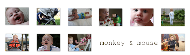 monkey and mouse