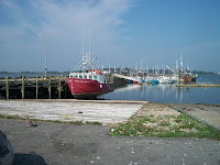 Water Front Water Front