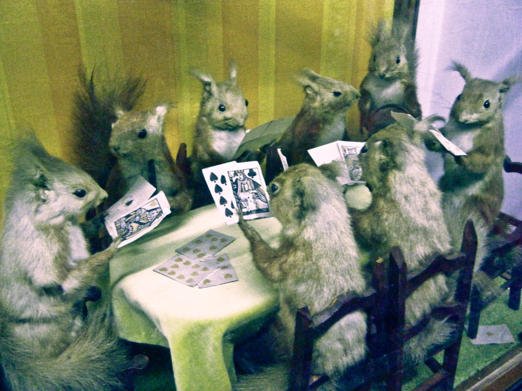 Squirrel!