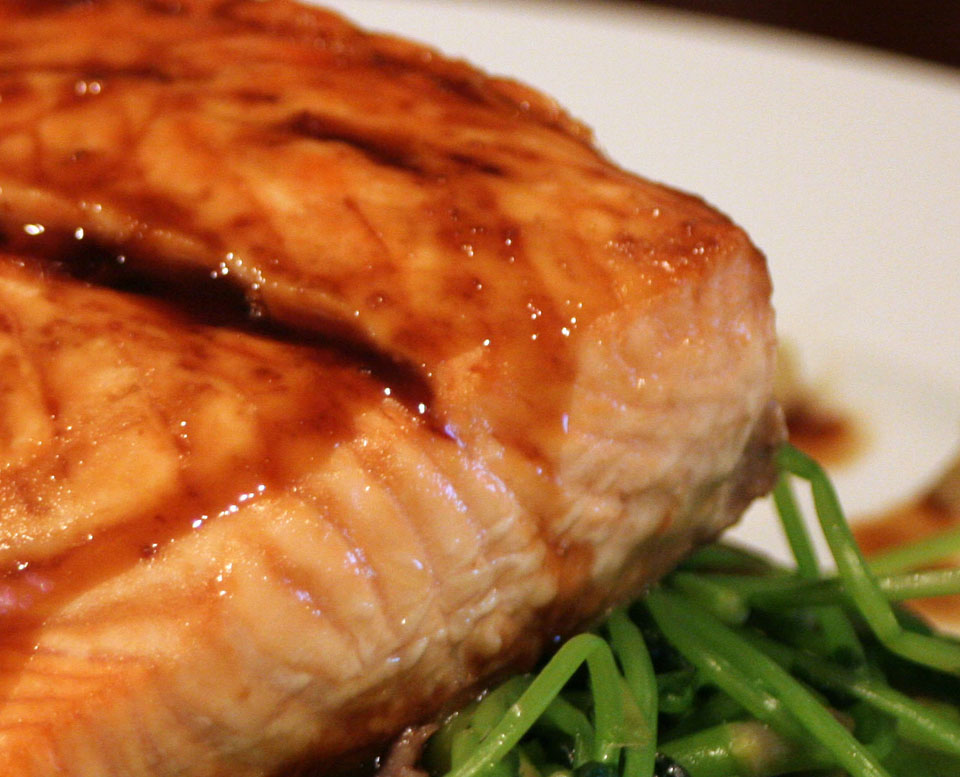 [salmonplateadjustcrop.jpg]