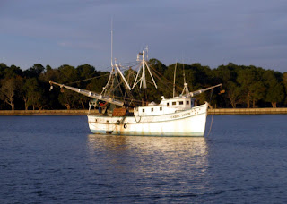 shrimp boat panama city fl shrimp boat panama city bing images shrimp boat panama city fl shrimp boat panama city bing images