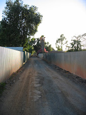 The back lane