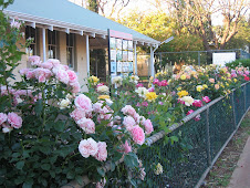 Kalgoorlie Primary School
