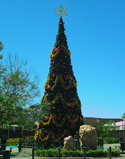 Oh Christmas Tree