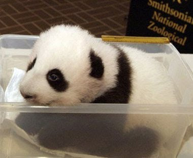 tierno tierno