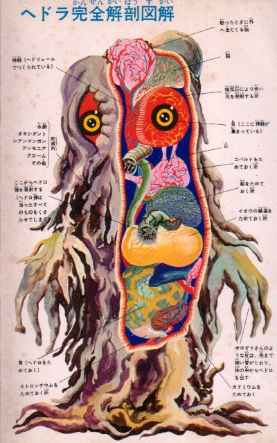 [etaGwRS7Yh47dave2JbeLATuo1_500.jpg]