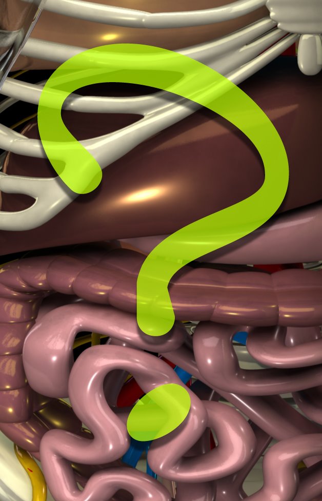 [XXXAnatomycrp--.jpg]