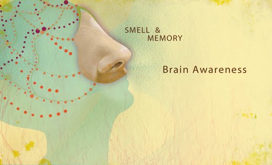 Brain AWAREness: Scent Memory